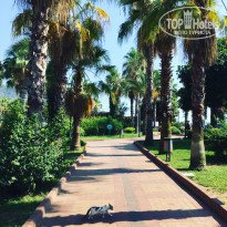 фото из отзыва ID 2201520