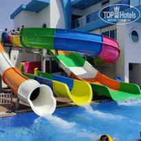 фото из отзыва ID 2201574