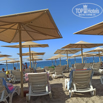 фото из отзыва ID 2201565