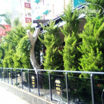 фото из отзыва ID 2201683