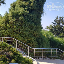 фото из отзыва ID 2201819