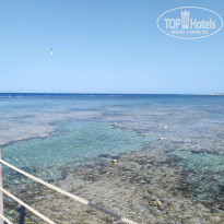 фото из отзыва ID 2201826