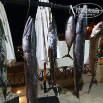 фото из отзыва ID 2201928