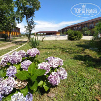 фото из отзыва ID 2201953