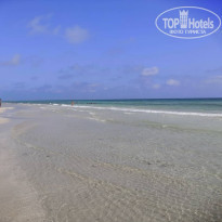 фото из отзыва ID 2202009