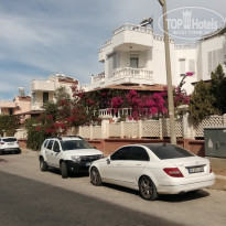 фото из отзыва ID 2202104