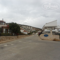 фото из отзыва ID 2202104