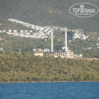 фото из отзыва ID 2202104