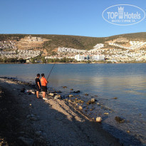 фото из отзыва ID 2202104