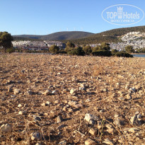 фото из отзыва ID 2202104