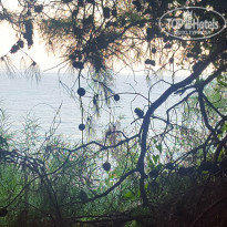 фото из отзыва ID 2202199