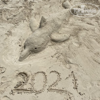 фото из отзыва ID 2202210