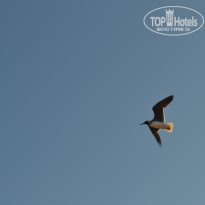 фото из отзыва ID 2202203