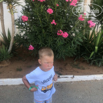 фото из отзыва ID 2202284