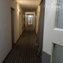 фото из отзыва ID 2202285