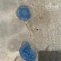 фото из отзыва ID 2200554