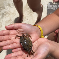 фото из отзыва ID 2200554