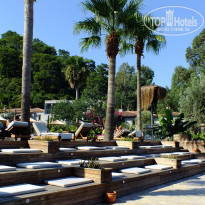 фото из отзыва ID 2202480