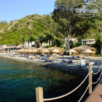 фото из отзыва ID 2202480