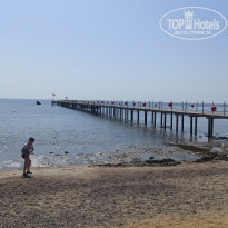 фото из отзыва ID 2202654