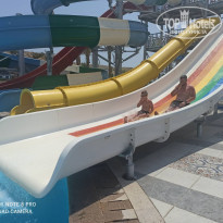 фото из отзыва ID 2202654