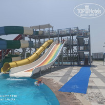 фото из отзыва ID 2202654