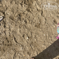 фото из отзыва ID 2202864