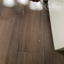 фото из отзыва ID 2202864