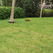 фото из отзыва ID 2202865