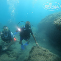 фото из отзыва ID 2202992