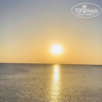 фото из отзыва ID 2203012