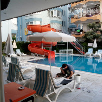 фото из отзыва ID 2203079