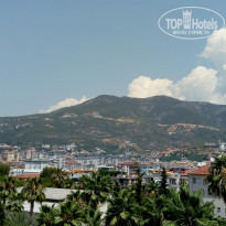 фото из отзыва ID 2203079