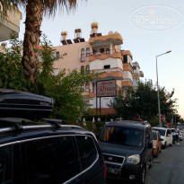 фото из отзыва ID 2203079