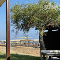 фото из отзыва ID 2203086