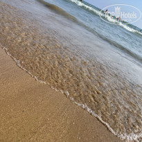 фото из отзыва ID 2203086