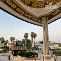 фото из отзыва ID 2203086