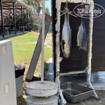 фото из отзыва ID 2203086