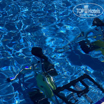 фото из отзыва ID 2203170