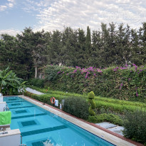 фото из отзыва ID 2203278