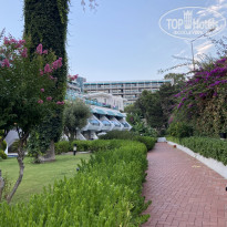 фото из отзыва ID 2203278