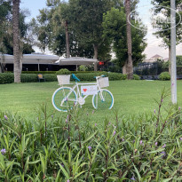 фото из отзыва ID 2203278