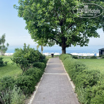 фото из отзыва ID 2203300