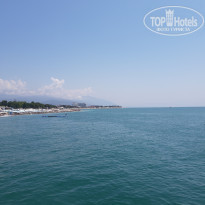 фото из отзыва ID 2203179