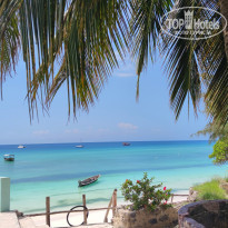 фото из отзыва ID 2203328