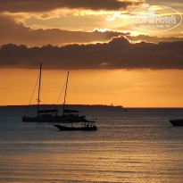 фото из отзыва ID 2203328