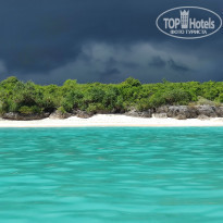 фото из отзыва ID 2203328