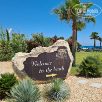 фото из отзыва ID 2203382