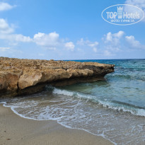 фото из отзыва ID 2203382