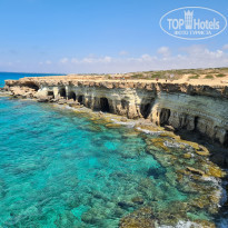 фото из отзыва ID 2203382